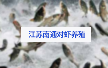 江蘇南通對蝦養殖