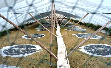 養殖增氧機：輕鬆應對夏季不同情況