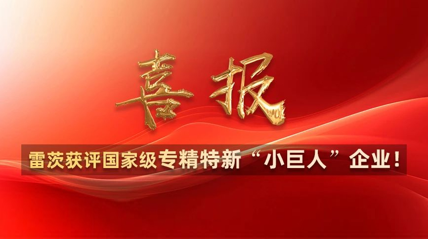 喜報：hth网页版在线登录入口獲評國家級專精特新“小巨人”企業！