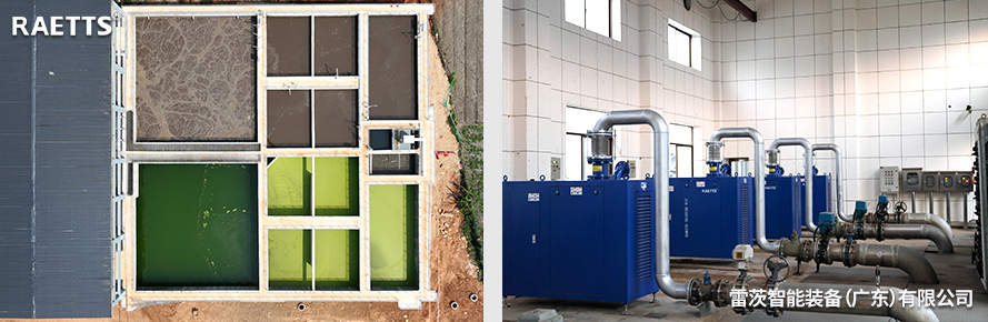 1686099743677463.jpg 進口.jpg