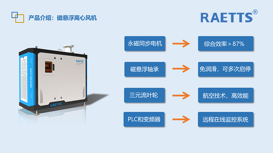 1703724145612887.jpg 10.jpg